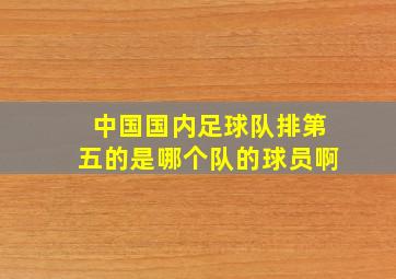 中国国内足球队排第五的是哪个队的球员啊