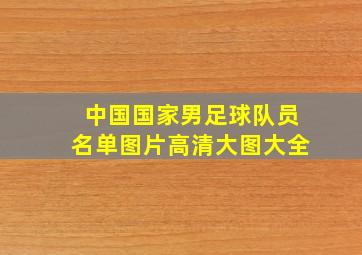 中国国家男足球队员名单图片高清大图大全