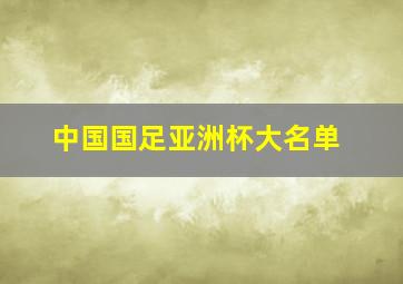 中国国足亚洲杯大名单