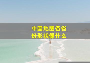 中国地图各省份形状像什么