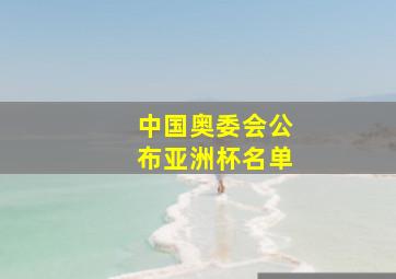 中国奥委会公布亚洲杯名单