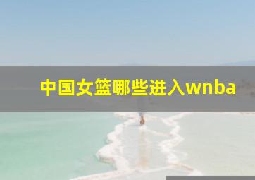 中国女篮哪些进入wnba