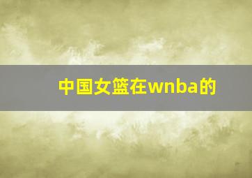 中国女篮在wnba的