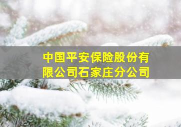 中国平安保险股份有限公司石家庄分公司