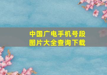 中国广电手机号段图片大全查询下载