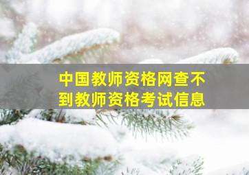 中国教师资格网查不到教师资格考试信息