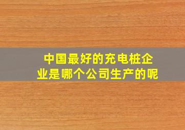 中国最好的充电桩企业是哪个公司生产的呢