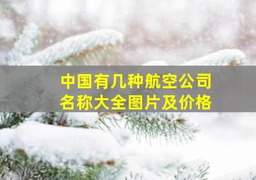 中国有几种航空公司名称大全图片及价格