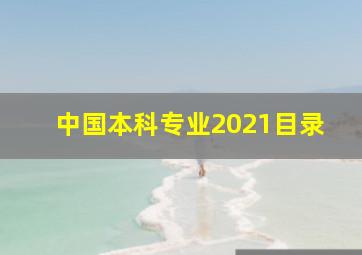 中国本科专业2021目录