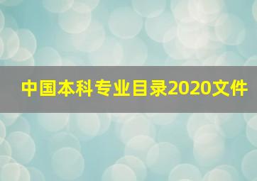 中国本科专业目录2020文件