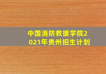 中国消防救援学院2021年贵州招生计划