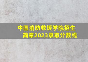 中国消防救援学院招生简章2023录取分数线