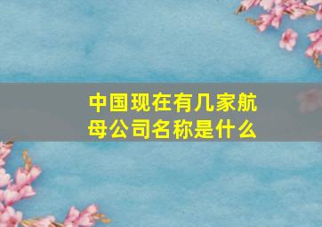 中国现在有几家航母公司名称是什么