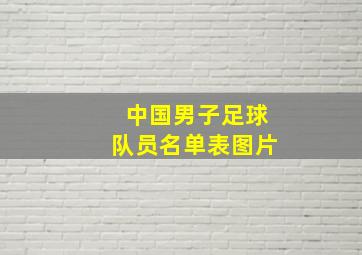 中国男子足球队员名单表图片