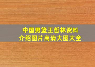 中国男篮王哲林资料介绍图片高清大图大全