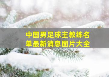 中国男足球主教练名单最新消息图片大全