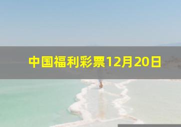 中国福利彩票12月20日