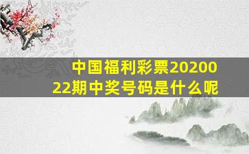 中国福利彩票2020022期中奖号码是什么呢