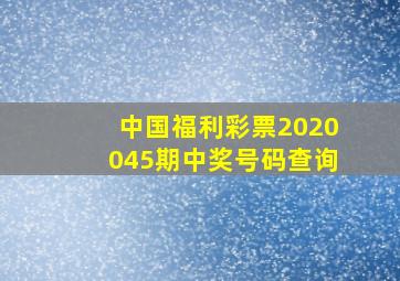 中国福利彩票2020045期中奖号码查询