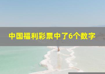 中国福利彩票中了6个数字