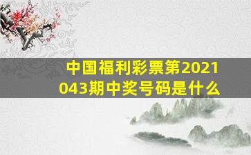 中国福利彩票第2021043期中奖号码是什么