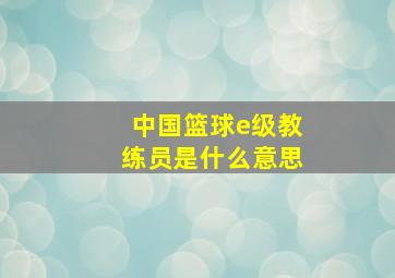 中国篮球e级教练员是什么意思