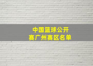 中国篮球公开赛广州赛区名单