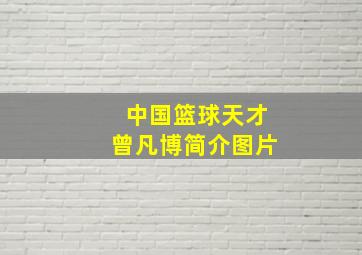 中国篮球天才曾凡博简介图片