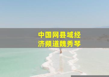 中国网县域经济频道魏秀琴