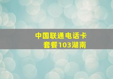 中国联通电话卡套餐103湖南