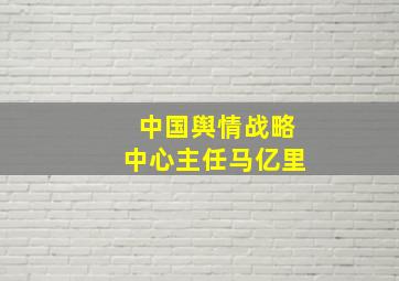 中国舆情战略中心主任马亿里