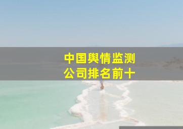 中国舆情监测公司排名前十