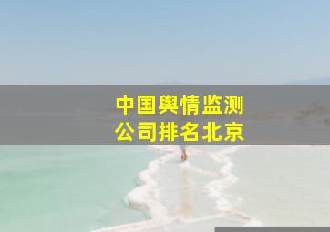 中国舆情监测公司排名北京