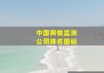 中国舆情监测公司排名图标