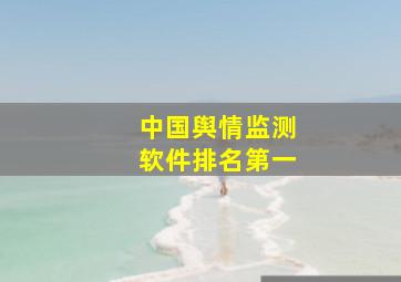 中国舆情监测软件排名第一