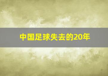 中国足球失去的20年