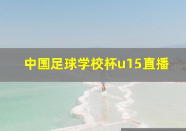 中国足球学校杯u15直播