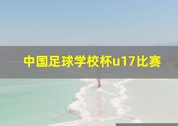 中国足球学校杯u17比赛