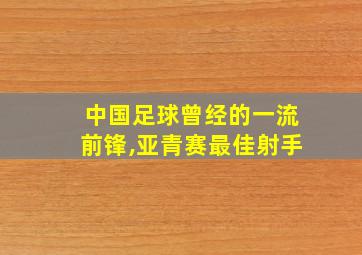 中国足球曾经的一流前锋,亚青赛最佳射手