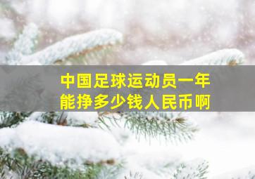 中国足球运动员一年能挣多少钱人民币啊