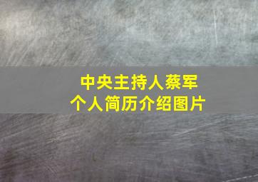 中央主持人蔡军个人简历介绍图片