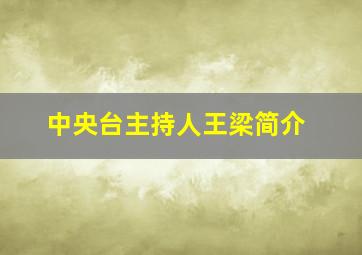 中央台主持人王梁简介