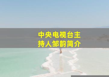 中央电视台主持人邹韵简介