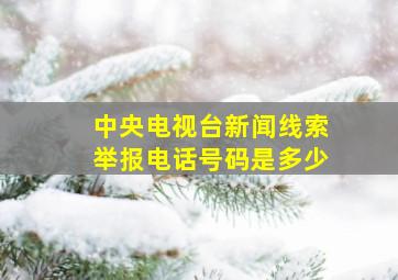 中央电视台新闻线索举报电话号码是多少