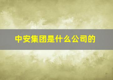 中安集团是什么公司的