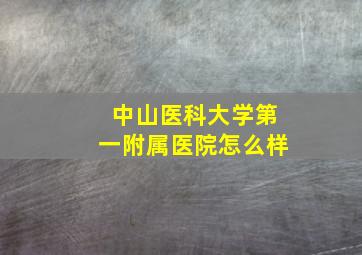 中山医科大学第一附属医院怎么样