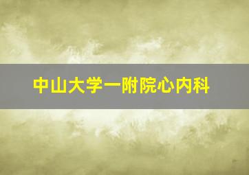 中山大学一附院心内科