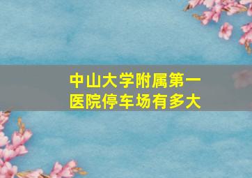 中山大学附属第一医院停车场有多大