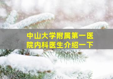 中山大学附属第一医院内科医生介绍一下