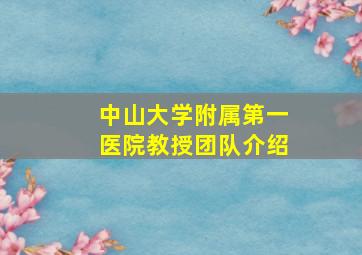 中山大学附属第一医院教授团队介绍